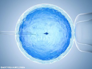 Geri培养箱